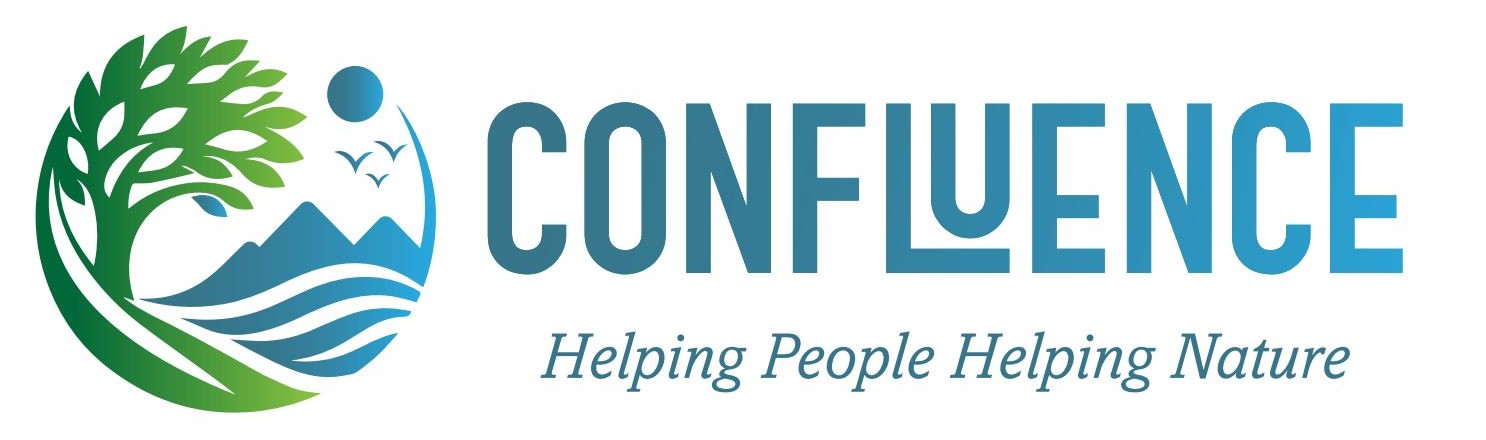 Confluence